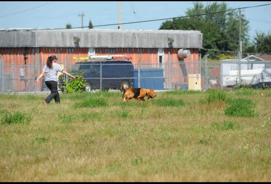 Northern store k9 training